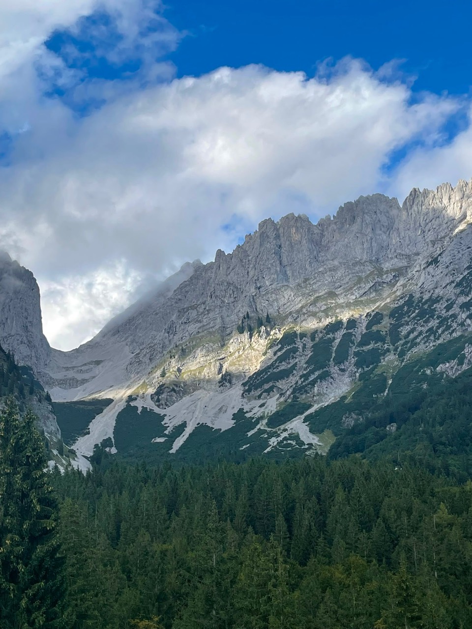Blick auf den Wilden Kaiser