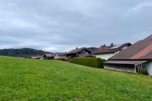 Häuser und Wiesen am Türlberg unter bewölktem Himmel