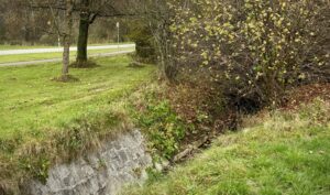 Uferbereich des Iserbachs in Vachendorf