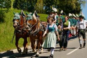 Pferdegespann und Trachtler bringen den Maibaum nach Vachendorf