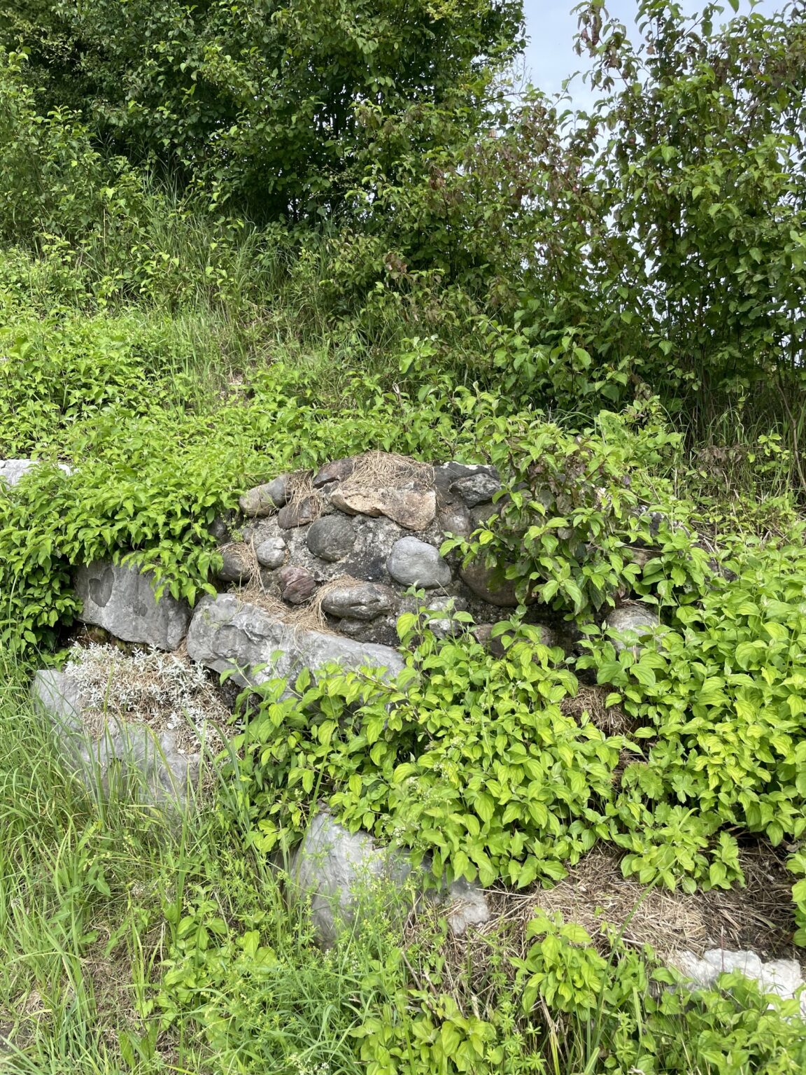 Kalkofen