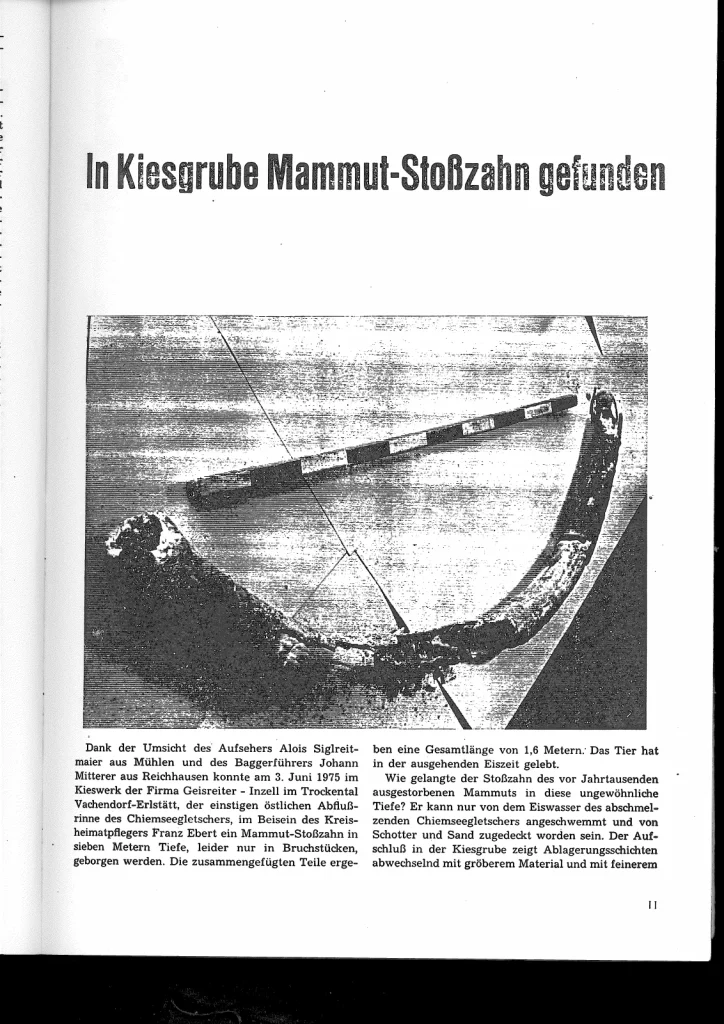 In Kiesgrube Mammut-Stoßzahn gefunden – Scanseite 1